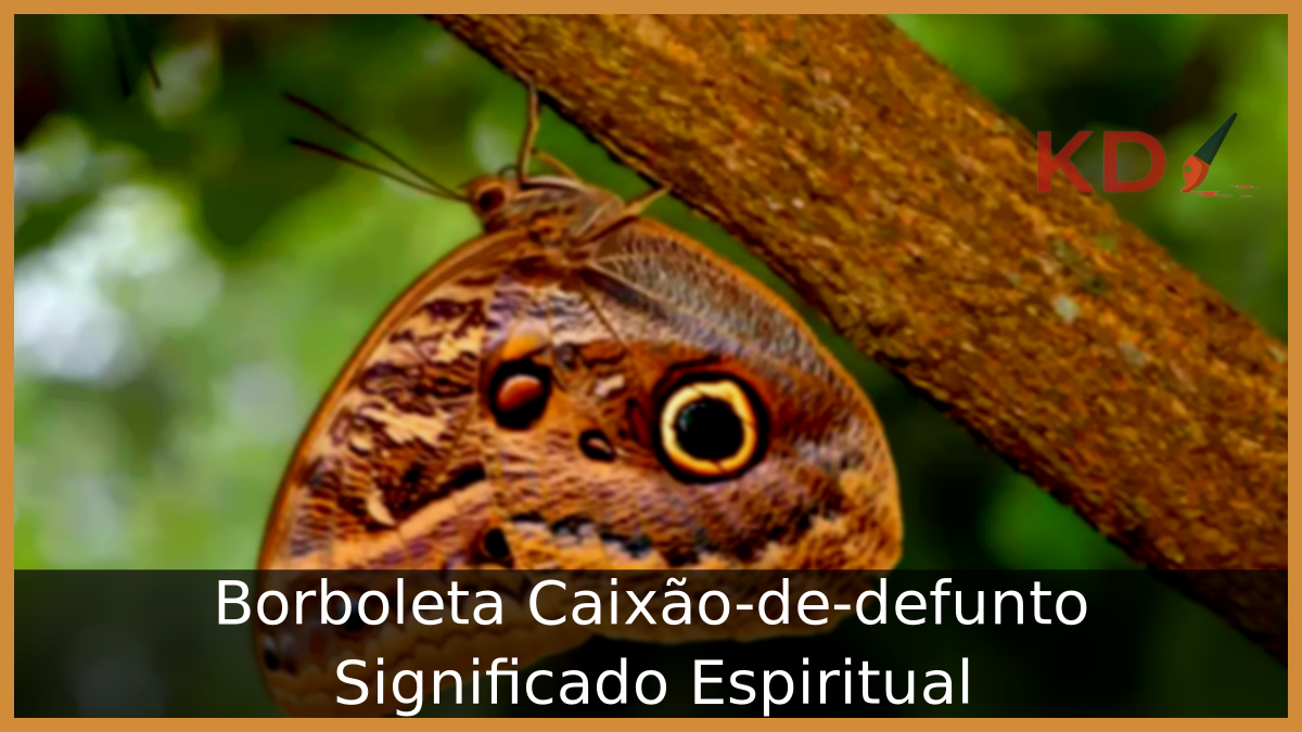Borboleta Caixão-de-defunto Significado Espiritual 1 Borboleta Caixão-de-defunto