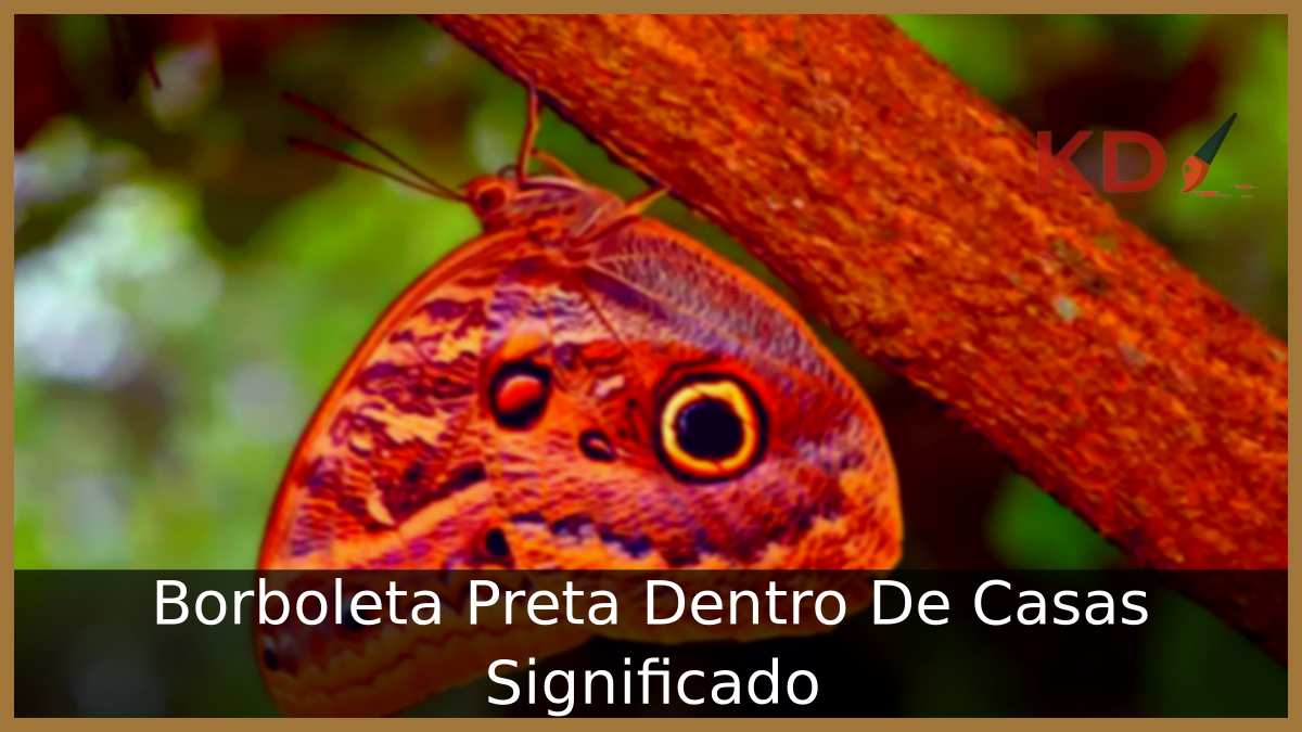 Borboleta Preta Dentro De Casas