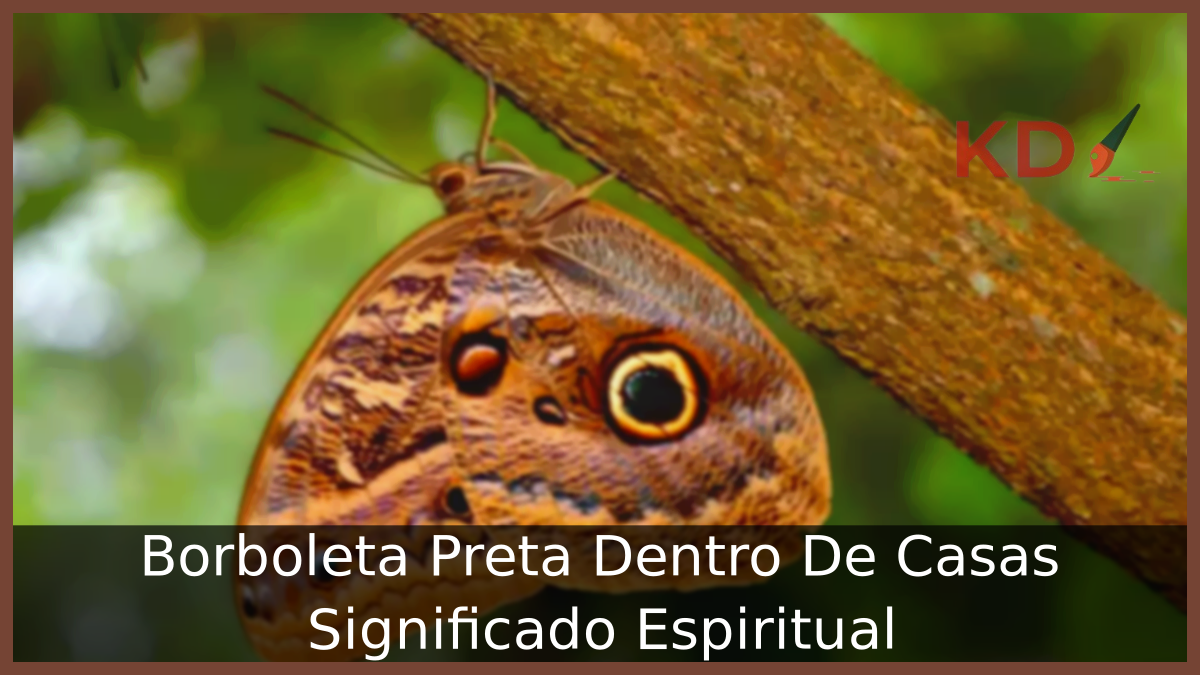 Borboleta Preta Dentro De Casas Significado Espiritual 15 Borboleta Preta Dentro De Casas