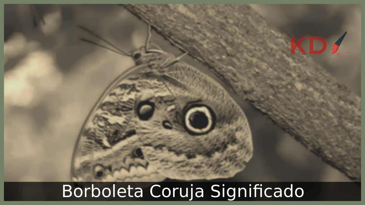 Borboleta Coruja: Descubra o Verdadeiro Significado 21 Borboleta Coruja