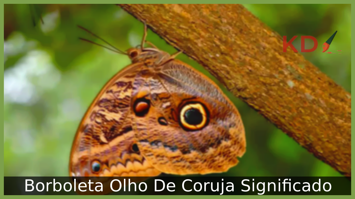 Borboleta Olho De Coruja Significado: Veja Tudo o que saber 23 Borboleta Olho De Coruja Significado
