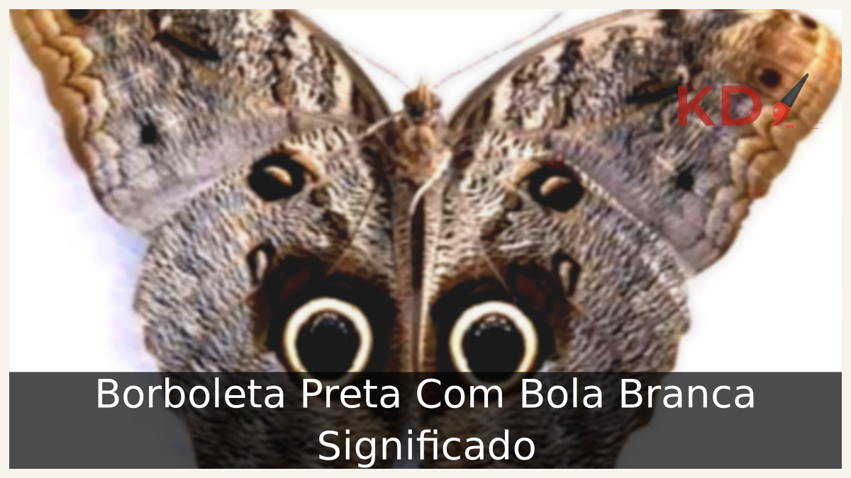 Borboleta Preta Com Bola Branca Significado: Descubra tudo sobre! 3 Borboleta Preta Com Bola Branca