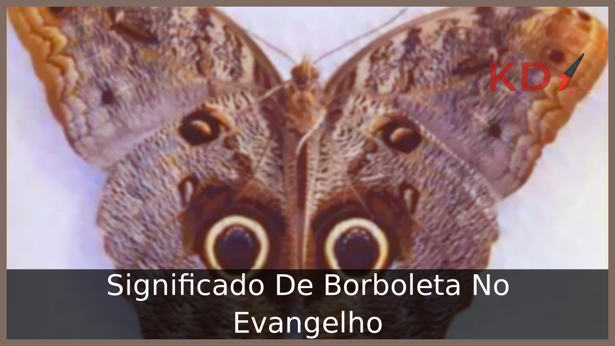 Borboleta No Evangelho