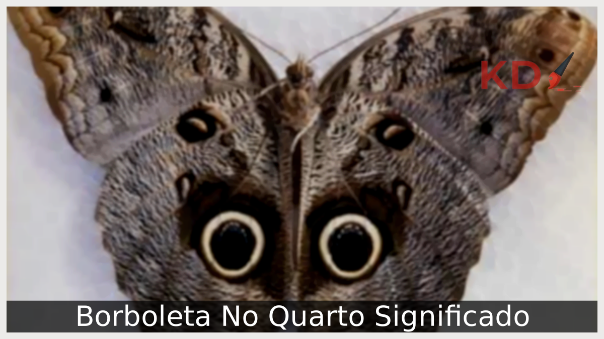 Borboleta No Quarto Significado: Conheça tudo o que pode saber! 3 Borboleta No Quarto Significado