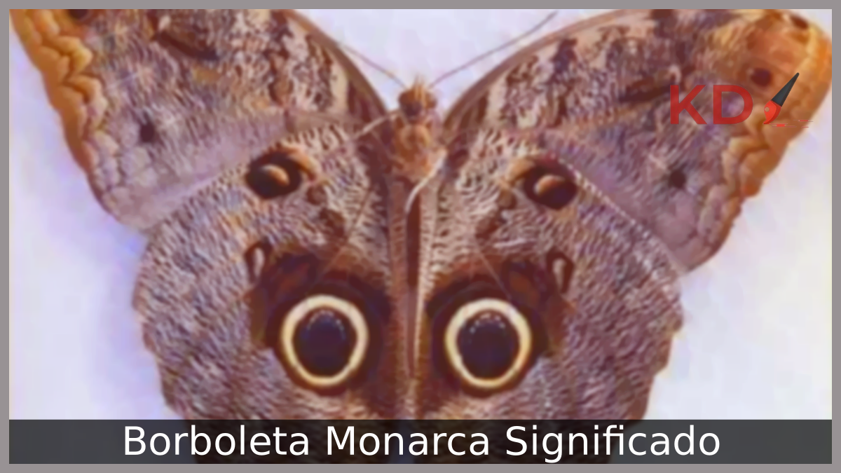 Borboleta Monarca