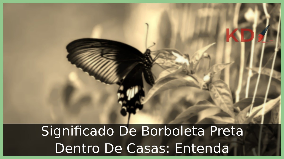 Significado De Borboleta Preta Dentro De Casas