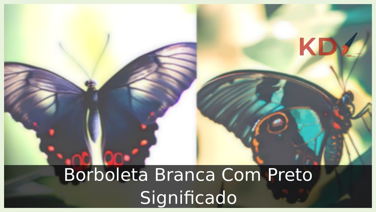Borboleta Branca Com Preto Significado: Conheça tudo que precisa saber 6 Borboleta Branca Com Preto Significado