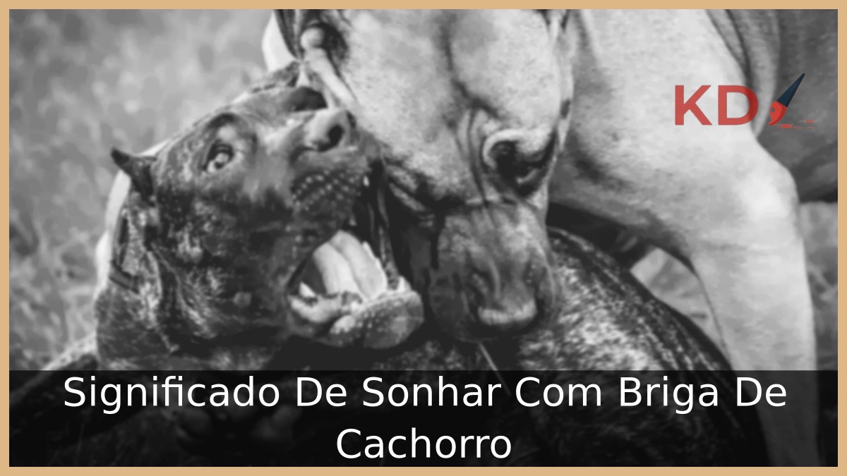 Sonhar Com Briga De Cachorro