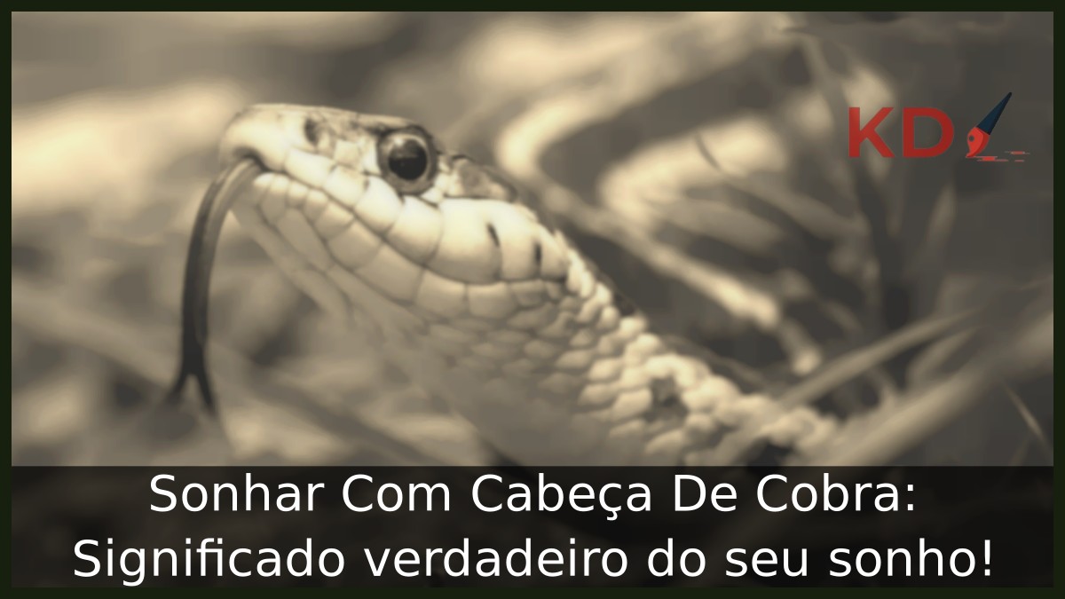 Sonhar Com Cabeça De Cobra: Significado verdadeiro do seu sonho! 9 Sonhar Com Cabeça De Cobra