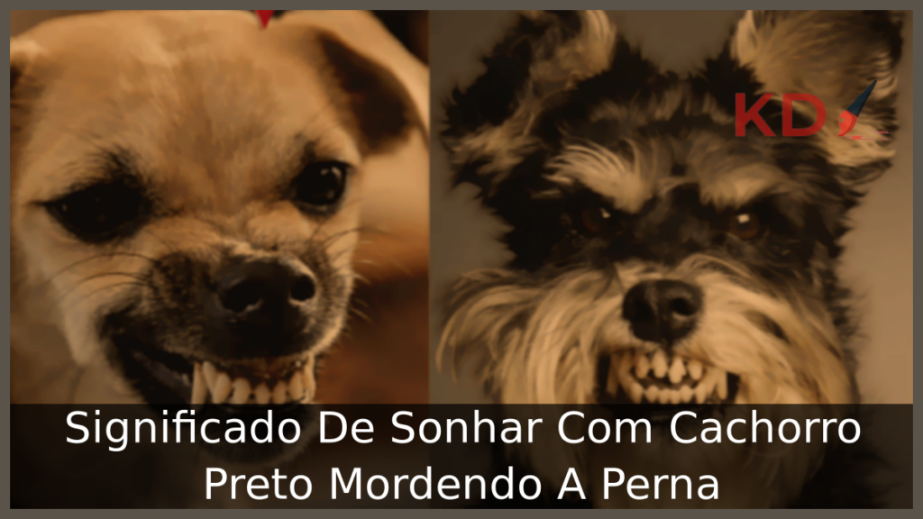 Sonhar Com Cachorro Preto Mordendo A Perna