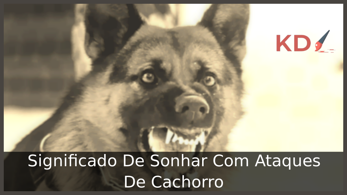 Sonhar Com Ataques De Cachorro