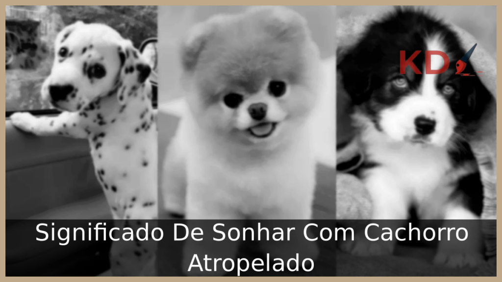 Significado De Sonhar Com Cachorro Atropelado 1 Sonhar Com Cachorro Atropelado