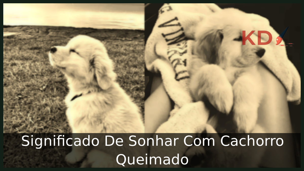 Sonhar Com Cachorro Queimado