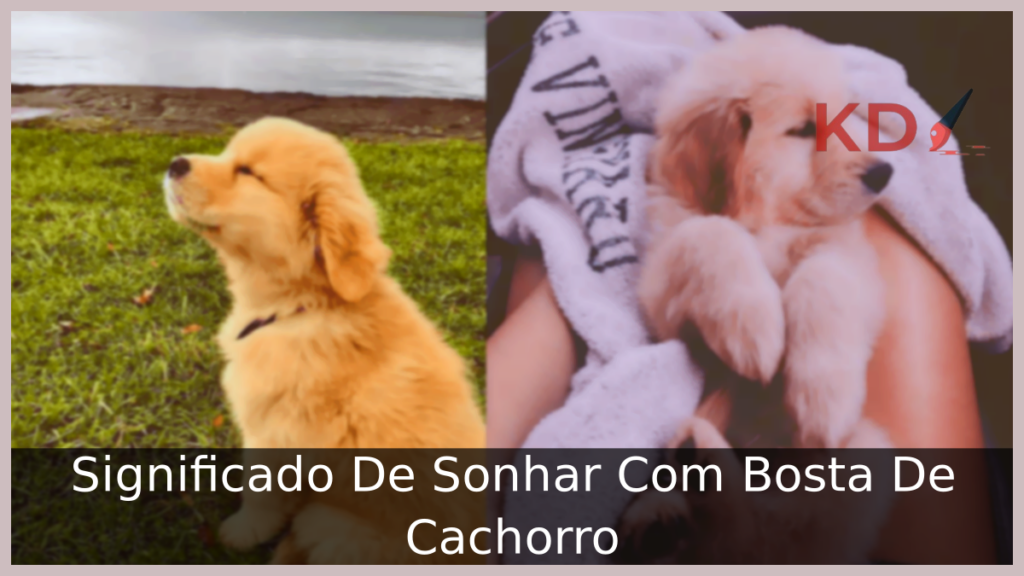 Sonhar Com Bosta De Cachorro