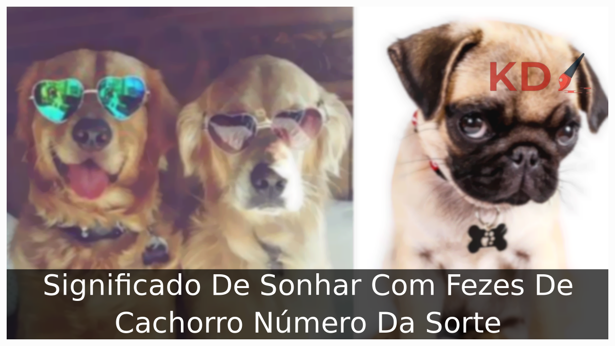 Sonhar Com Fezes De Cachorro Número Da Sorte