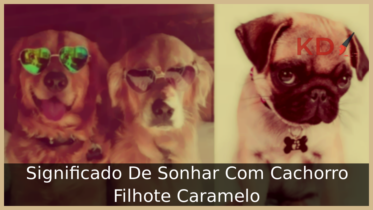 Sonhar Com Cachorro Filhote Caramelo