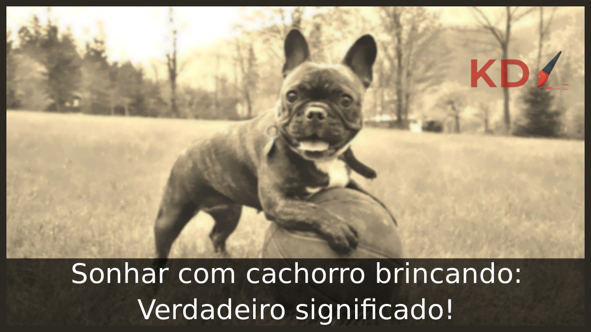 Sonhar com cachorro brincando
