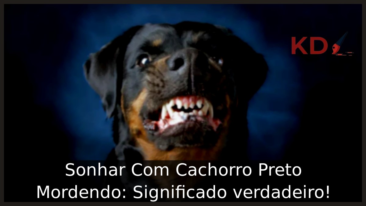 Sonhar Com Cachorro Preto Mordendo: Significado verdadeiro! 7 Sonhar Com Cachorro Preto Mordendo