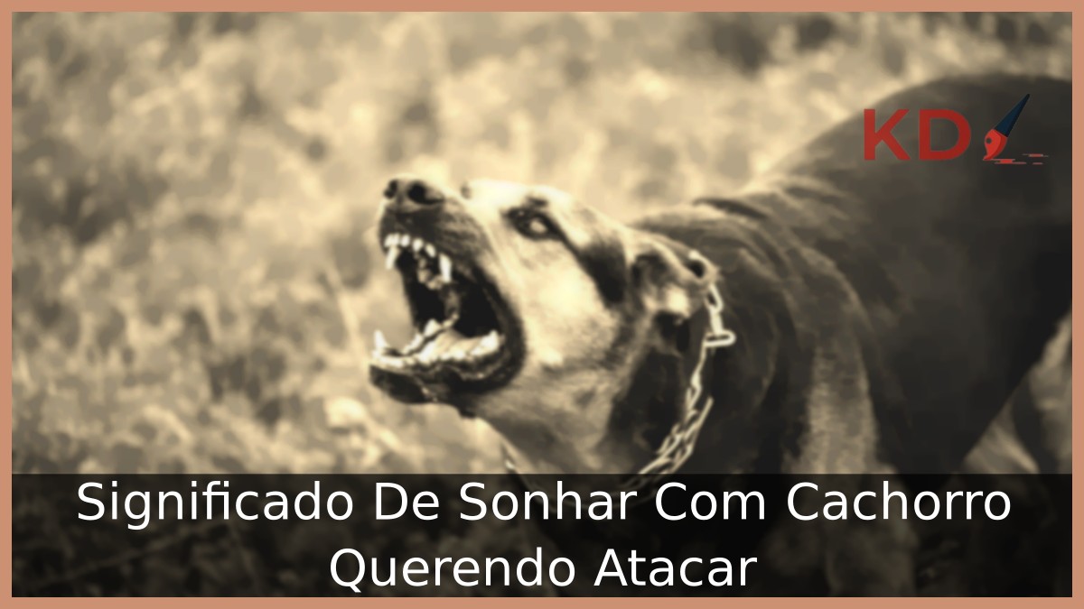 Sonhar Com Cachorro Querendo Atacar
