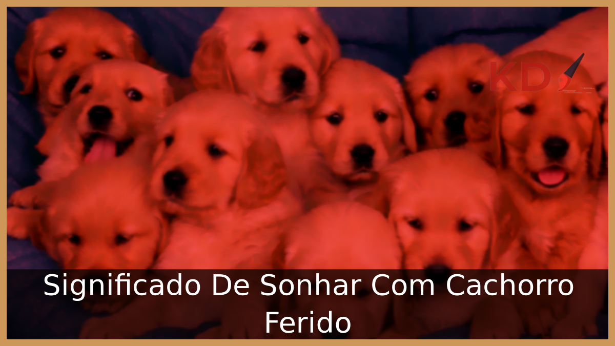 Sonhar Com Cachorro Ferido