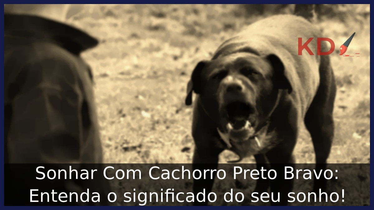 Sonhar Com Cachorro Preto Bravo: Entenda o significado do seu sonho! 10 Sonhar Com Cachorro Preto Bravo