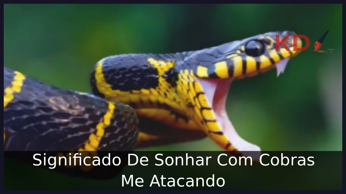 Sonhar Com Cobras Me Atacando: Profundo significado! 6 Sonhar Com Cobras Me Atacando
