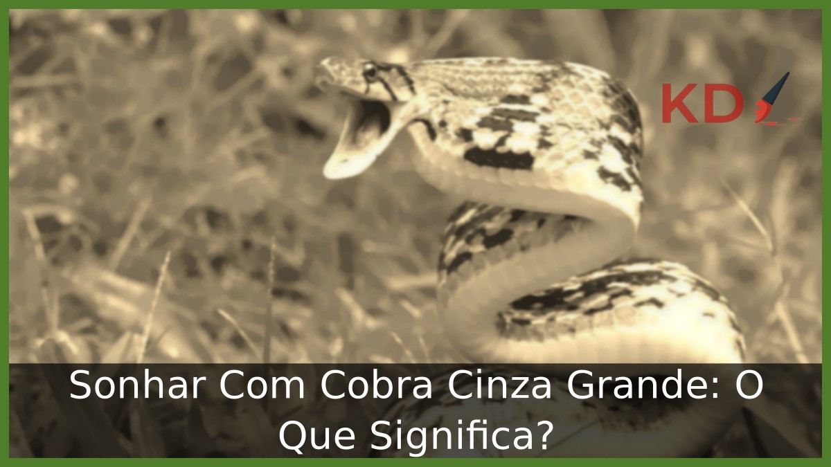 Sonhar Com Cobra Cinza Grande: O Que Significa? 11 Sonhar Com Cobra Cinza Grande