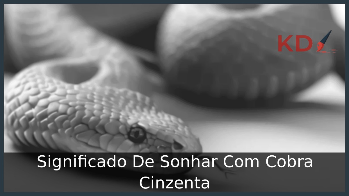 Sonhar Com Cobra Cinzenta
