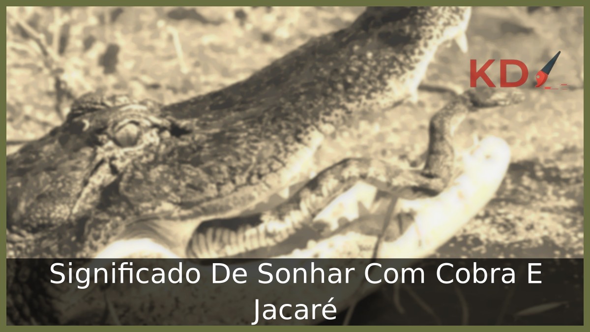 Sonhar Com Cobra E Jacaré: Real significado! 7 Sonhar Com Cobra E Jacaré