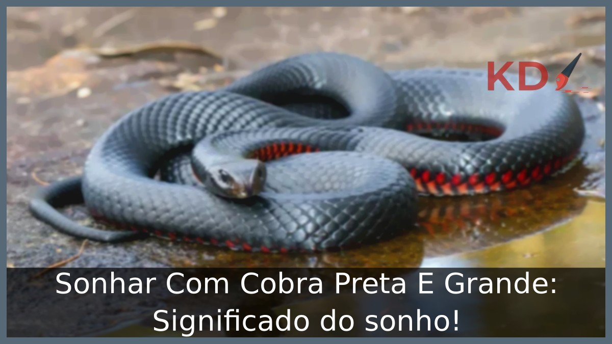 Sonhar Com Cobra Preta E Grande