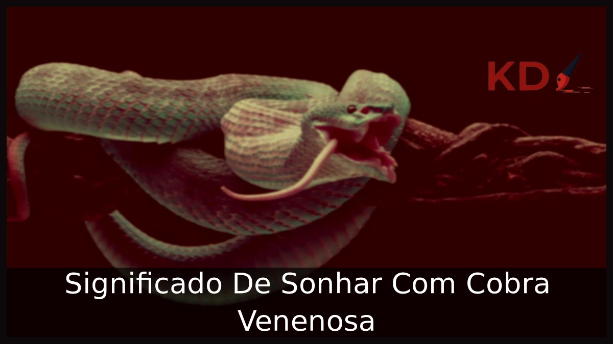 Sonhar com cobra venenosa: Mais do real significado do sonho! 10 Sonhar Com Cobra Venenosa