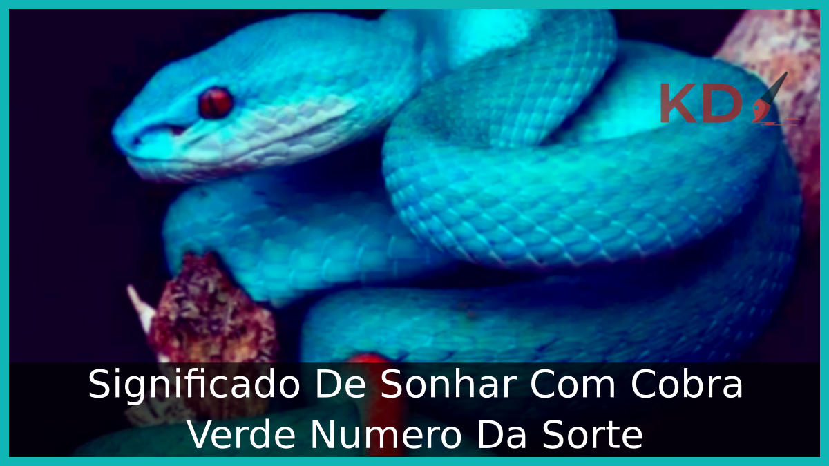 Significado De Sonhar Com Cobra Verde Numero Da Sorte 5 Sonhar Com Cobra Verde