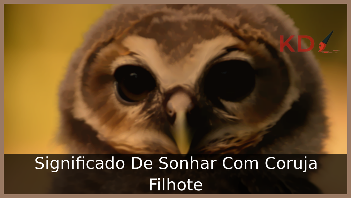 Veja Qual o Significado De Sonhar Com Coruja Filhote 9 Sonhar Com Coruja Filhote