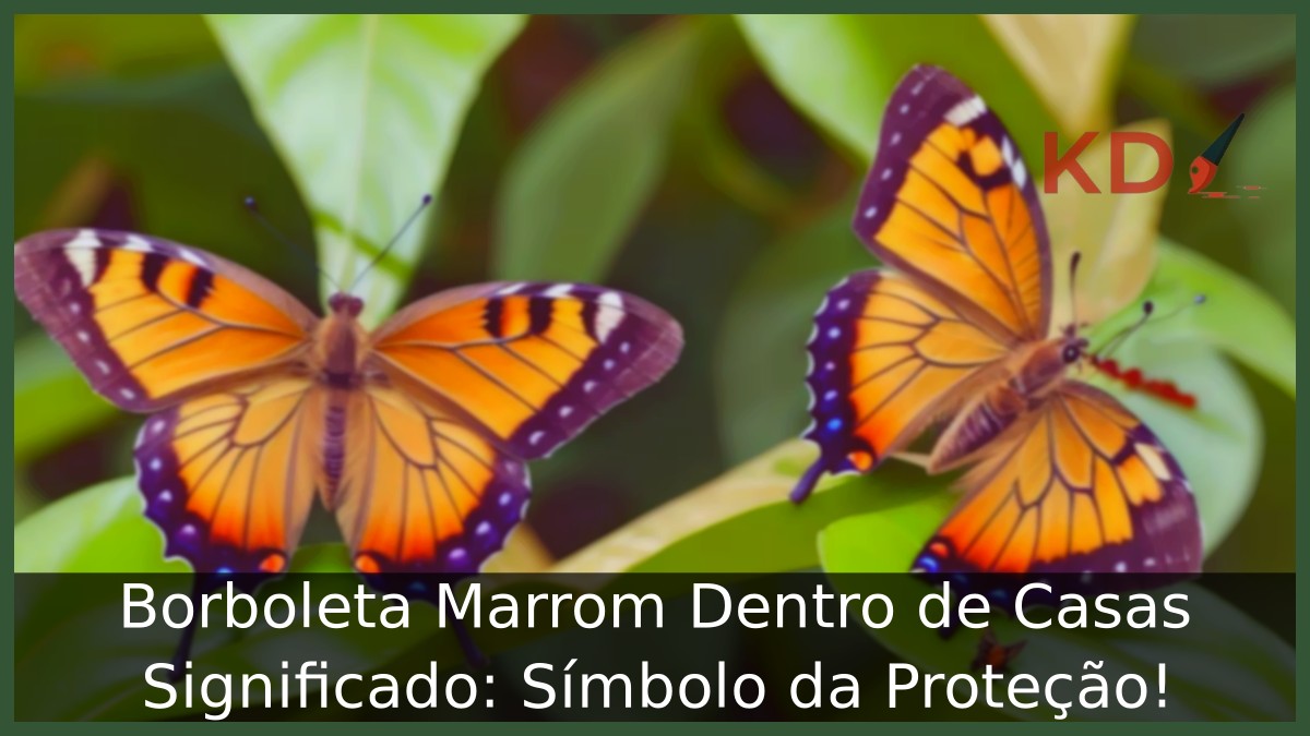 Borboleta Marrom Dentro de Casas Significado