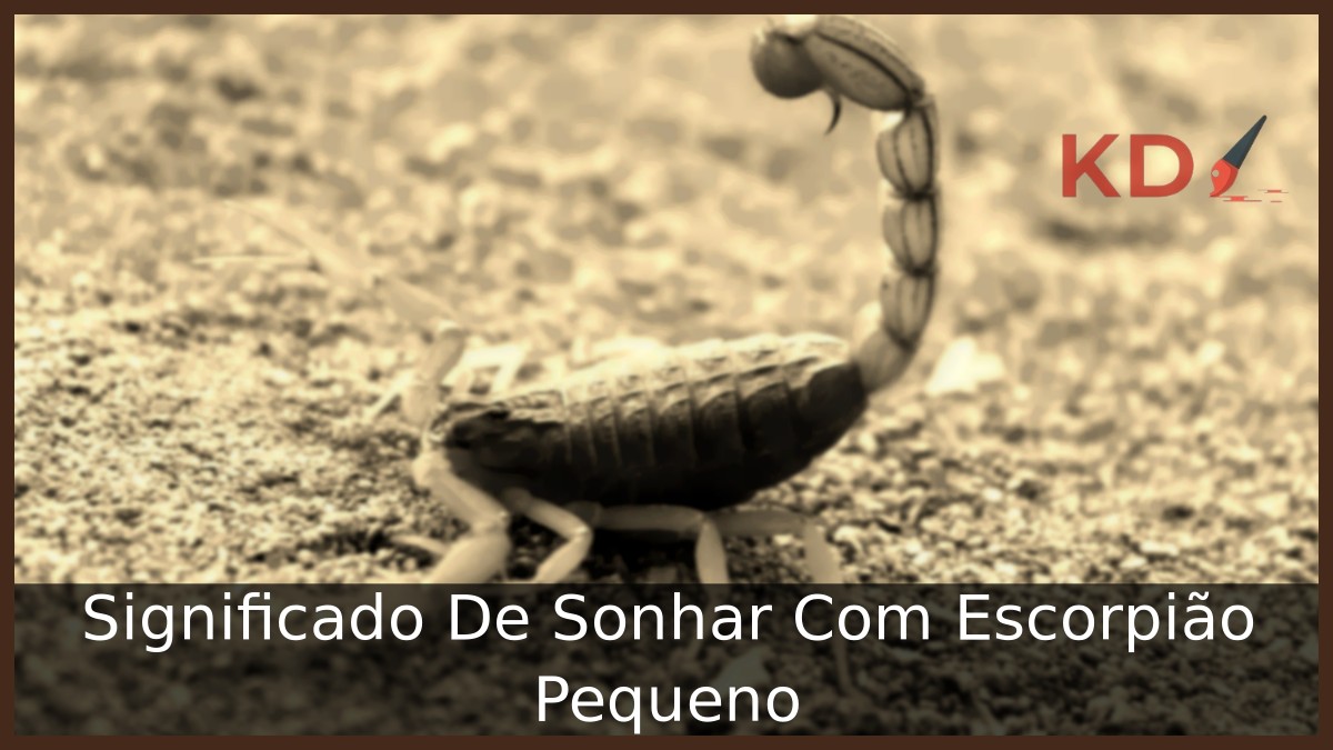 Sonhar com escorpião pequeno