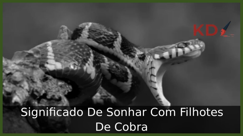 Sonhar com filhotes de cobra: Entenda o real significado! 1 Sonhar com filhotes de cobra