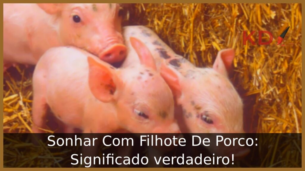 Sonhar Com Filhote De Porco