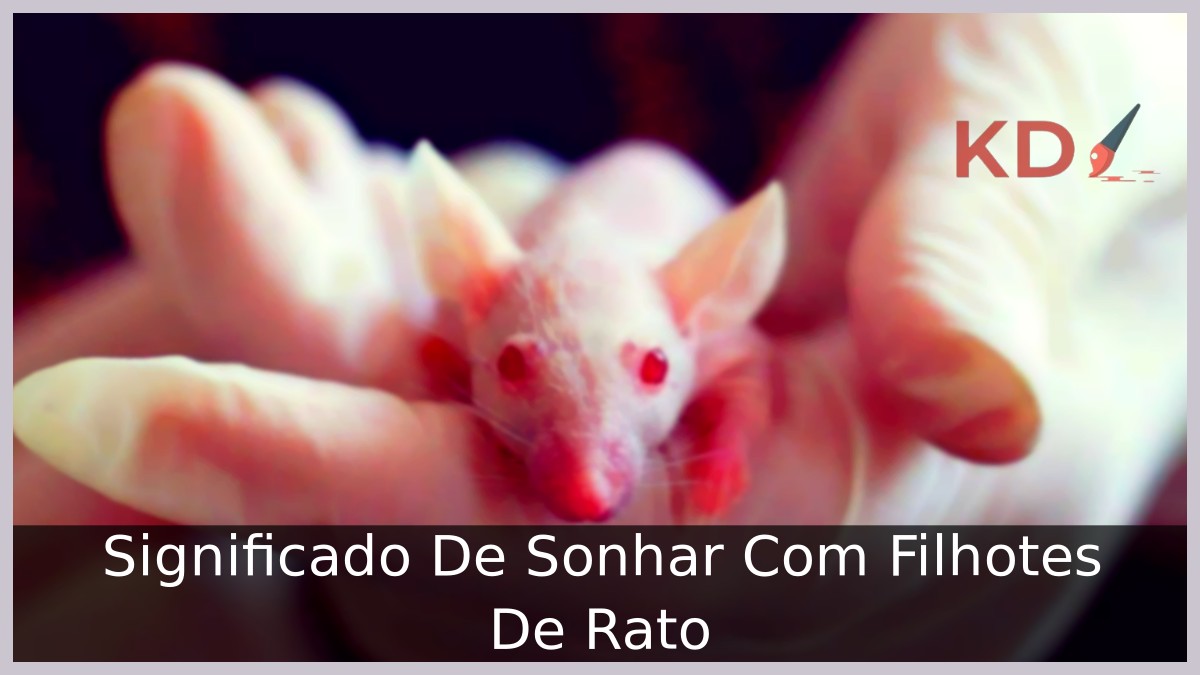 Sonhar Com Filhotes De Rato: O que significa? 2 Sonhar Com Filhotes De Rato