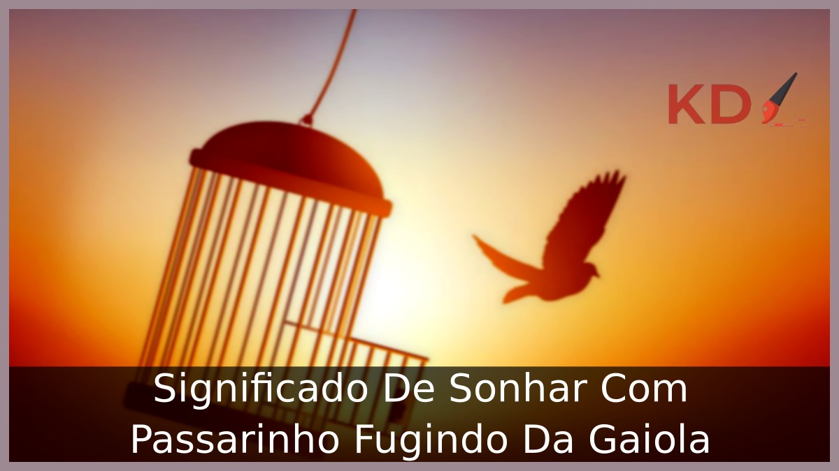 Sonhar com passarinho fugindo da gaiola: Significado verdadeiro! 7 Sonhar com passarinho fugindo da gaiola
