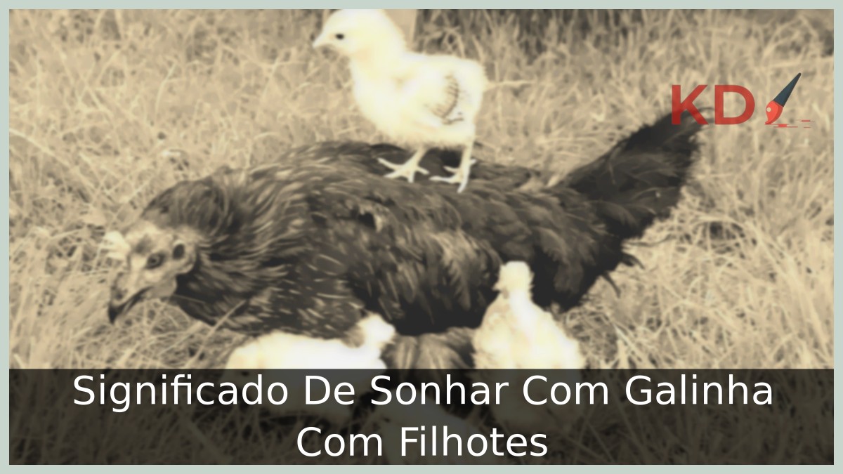 Sonhar Com Galinha Com Filhotes
