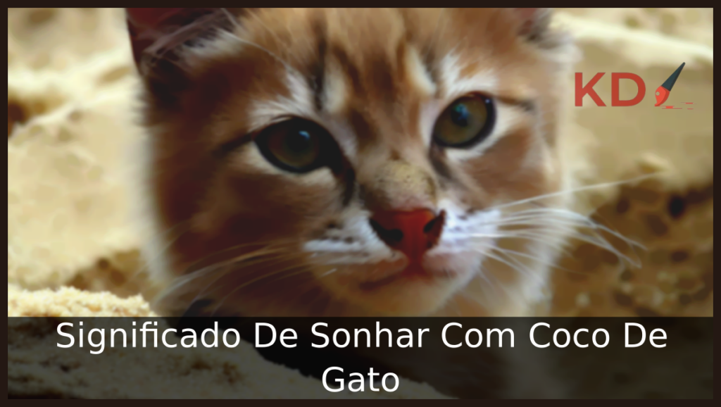 Sonhar Com Coco De Gato