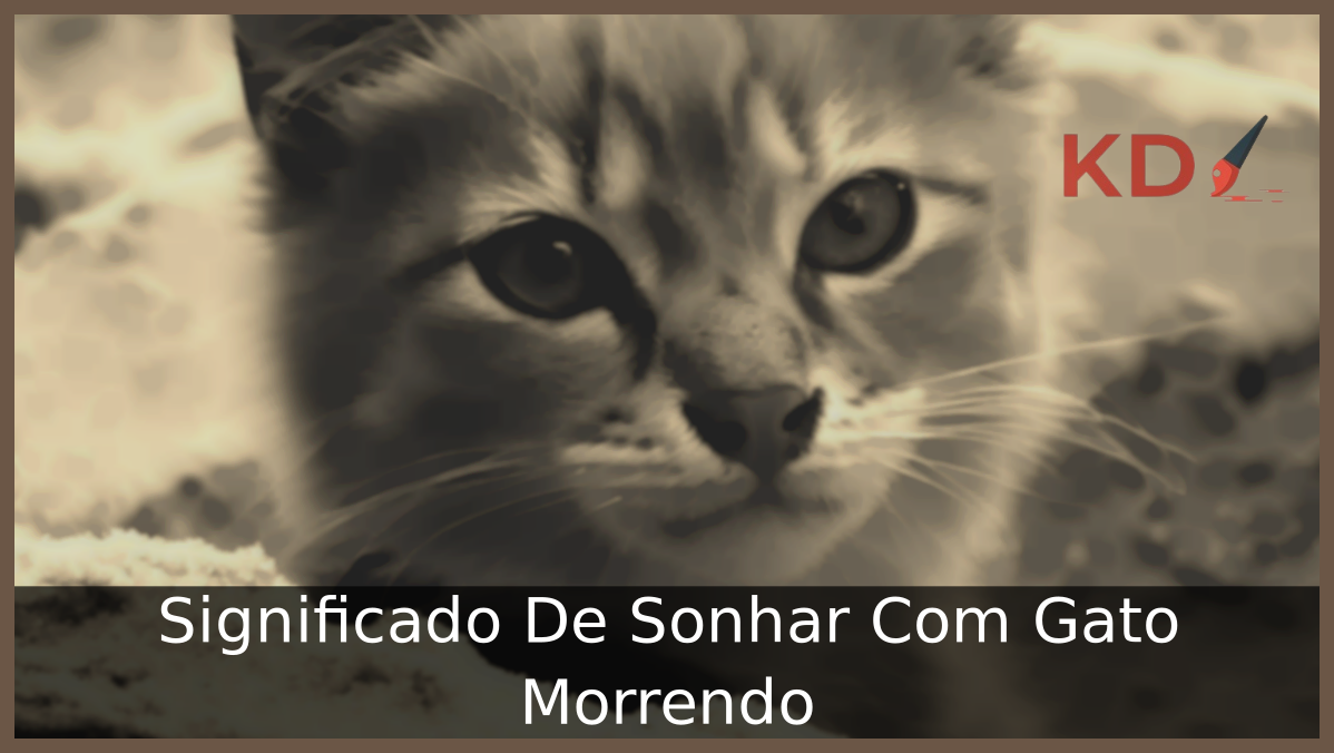 Significado De Sonhar Com Gato Morrendo 17 Sonhar Com Gato Morrendo