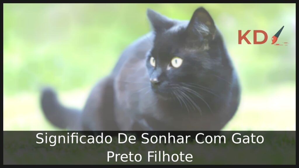 Sonhar Com Gato Preto Filhote: Significado do seu sonho! 1 Sonhar Com Gato Preto Filhote