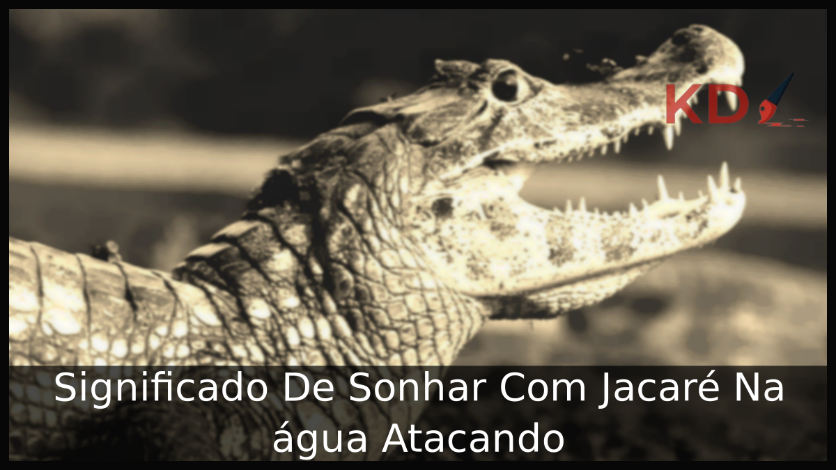 Sonhar Com Jacaré Na água Atacando