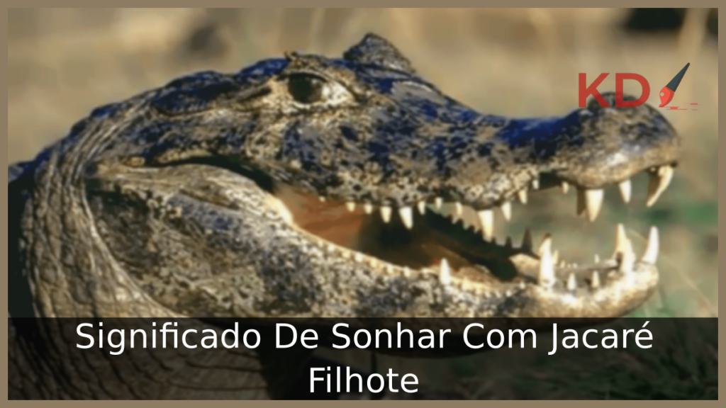 Sonhar Com Jacaré Filhote