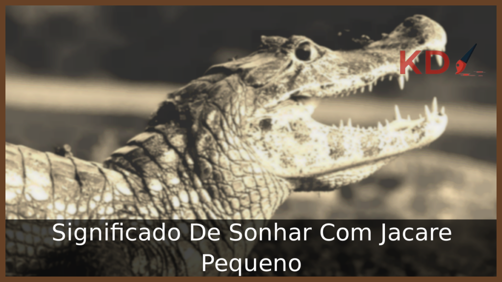Significado De Sonhar Com Jacaré Pequeno 1 Sonhar Com Jacaré Pequeno