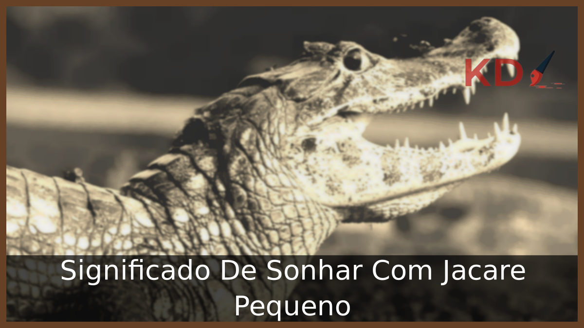 Significado De Sonhar Com Jacaré Pequeno 3 Sonhar Com Jacaré Pequeno