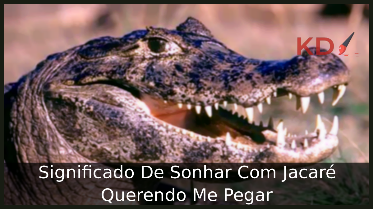 Sonhar Com Jacaré Querendo Me Pegar