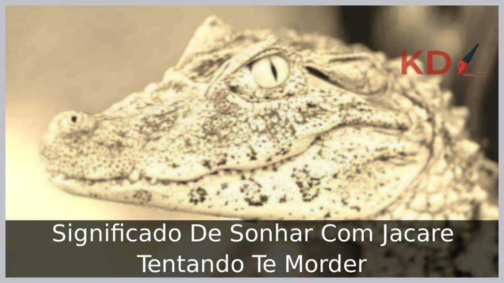 Sonhar Com Jacaré Tentando Te Morder