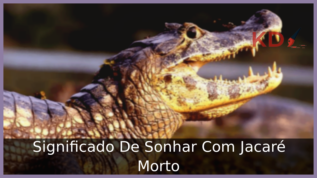 Sonhar Com Jacaré Morto